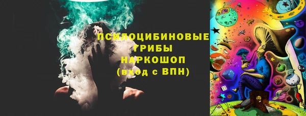 герыч Алексин