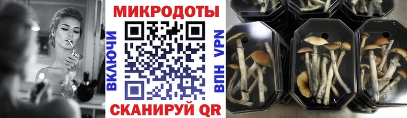 мориарти как зайти  Туринск  Псилоцибиновые грибы мухоморы 